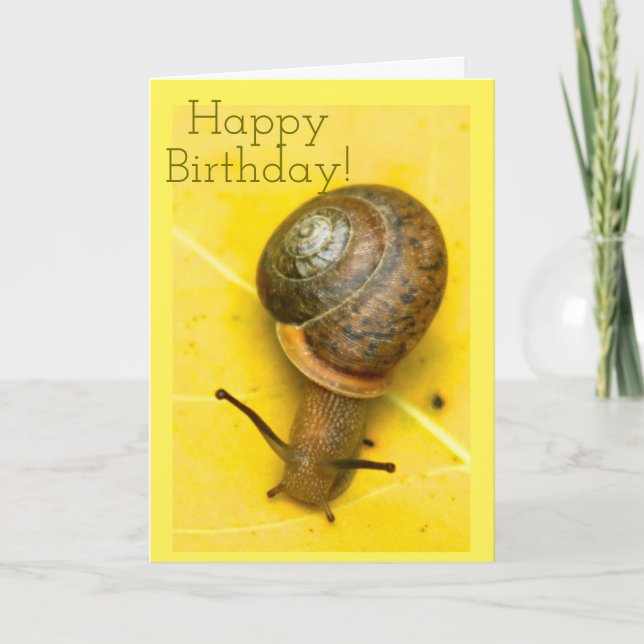 Carte de snail mail (Devant)