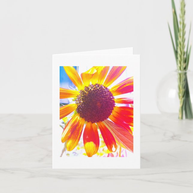 Carte de soleil du matin (Devant)