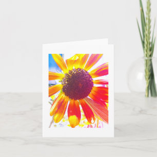 Carte de soleil du matin