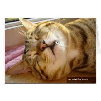 Carte de sommeil profond de chat de la savane