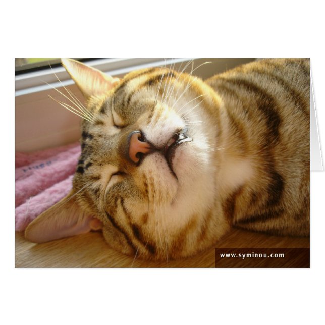 Carte de sommeil profond de chat de la savane (Devant horizontal)