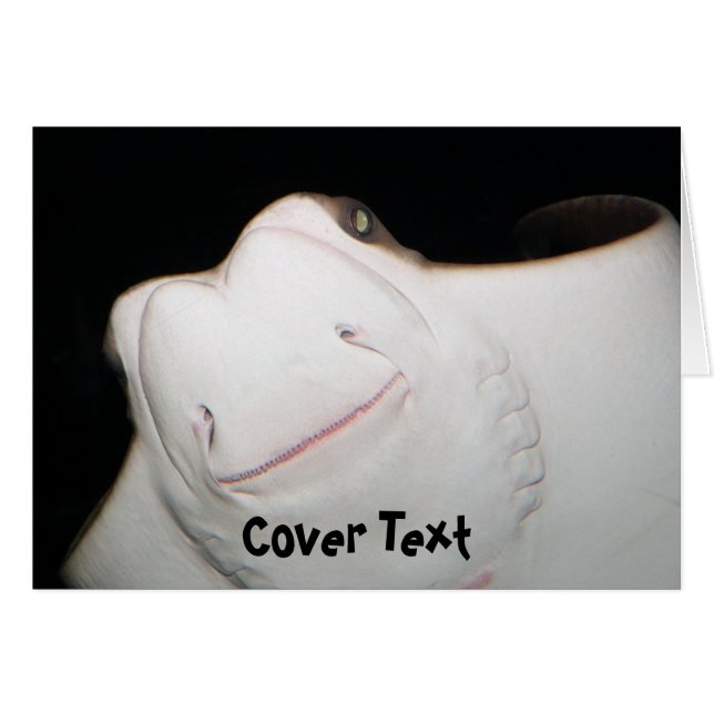 Carte de sourire de rayon (Devant horizontal)