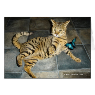 Carte de surprise de chat de la savane