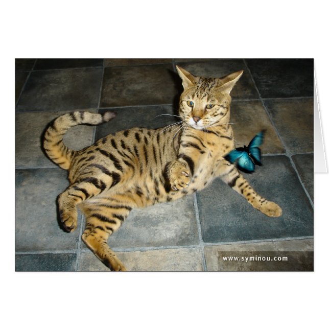 Carte de surprise de chat de la savane (Devant horizontal)