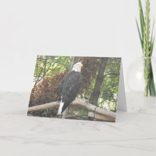 Carte de sympathie « Aigle royal »