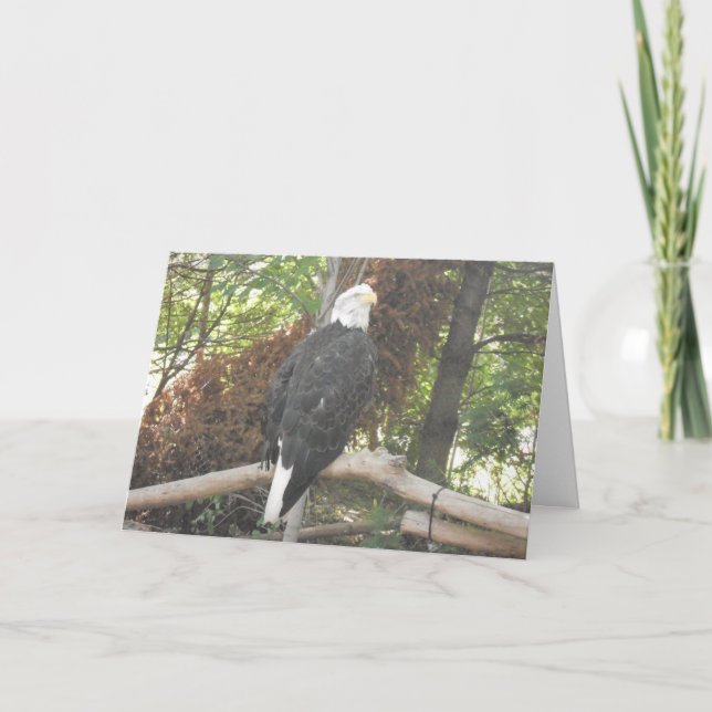 Carte de sympathie « Aigle royal » (Devant)