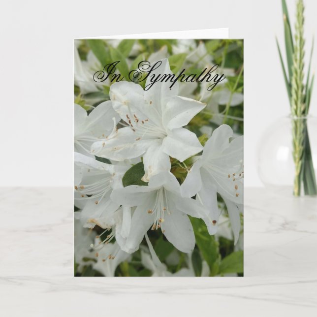 Carte de sympathie avec azalées blanches (Devant)