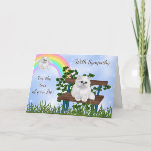 Carte de Sympathie avec chat et chat blanc avec ai