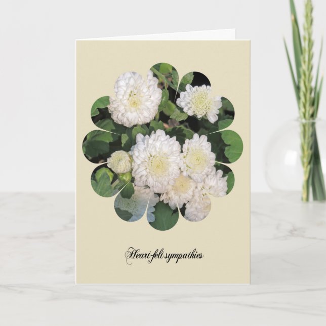 Carte de sympathie avec fleurs de chrysanthème bla (Devant)