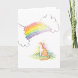 Carte de sympathie blanche orange de chat de pont