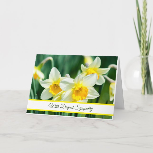 Carte de sympathie Daffodiques (Devant)