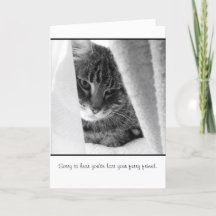 carte de sympathie d'animal familier