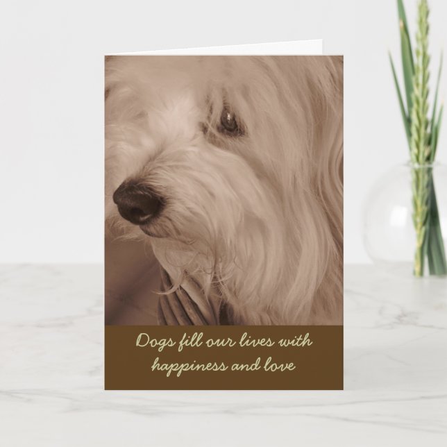 Carte de sympathie d'animal familier--Chien de (Devant)