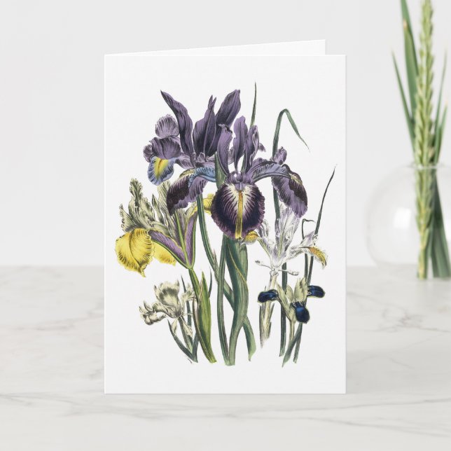 Carte de sympathie d'aquarelle d'iris (Devant)