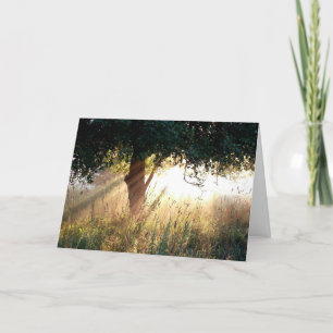 Carte de sympathie Dawn Deepest