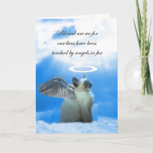 Carte de sympathie de chat, Angel Kitty, Perte de  (Devant)