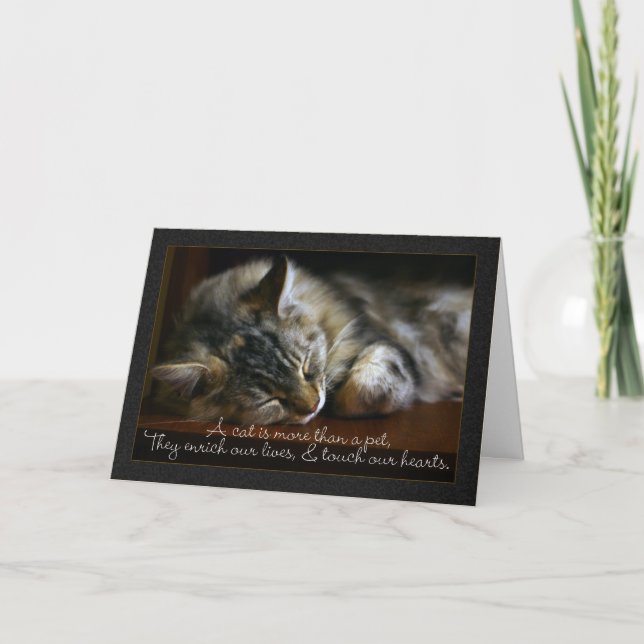 Carte de sympathie de chat d'animal familier, (Devant)