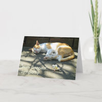 Carte de Sympathie de chat perdu