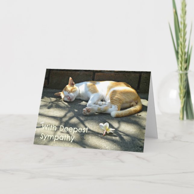Carte de Sympathie de chat perdu (Devant)