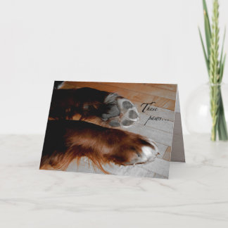 Carte de sympathie de chien