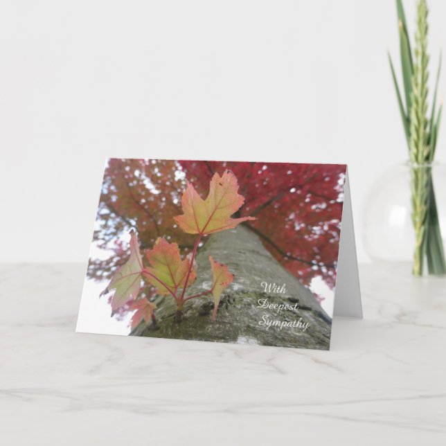 Carte de sympathie de feuille d'automne (Devant)