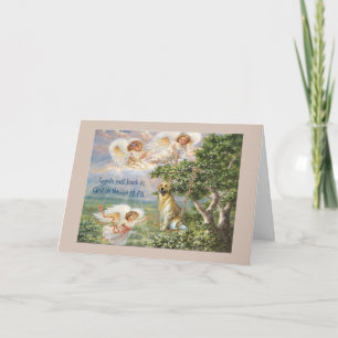Carte de sympathie de golden retriever