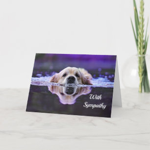 Carte de sympathie de golden retriever