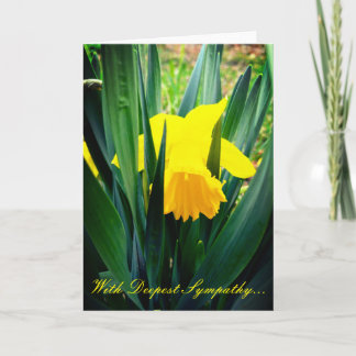 Carte de sympathie de jonquilles