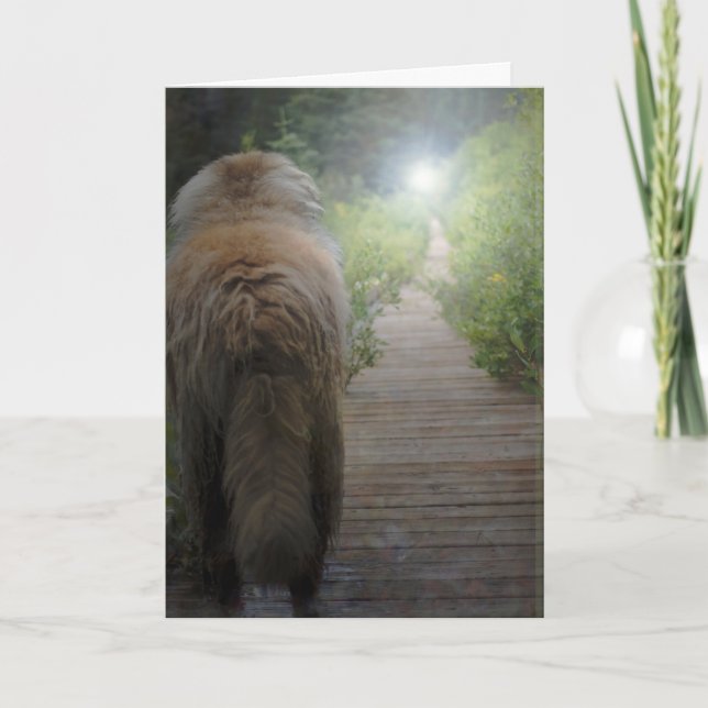 Carte de sympathie de Leonberger (Devant)
