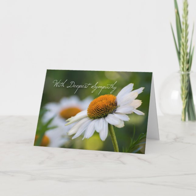 Carte de Sympathie de marguerite (Devant)