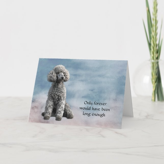 Carte de sympathie de perte de chien de caniche gr (Devant)