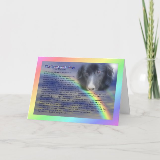 Carte de sympathie de perte de poème de Rainbow Br (Devant)