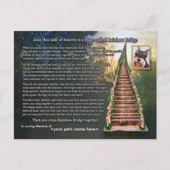 Carte de sympathie de perte de poème de Rainbow Br (Devant)