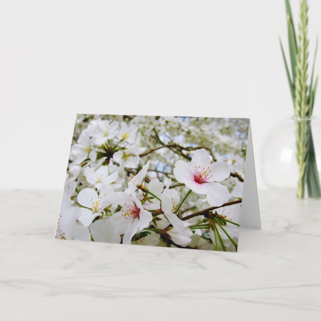 Carte de sympathie des fleurs de cerisier 5 (Devant)
