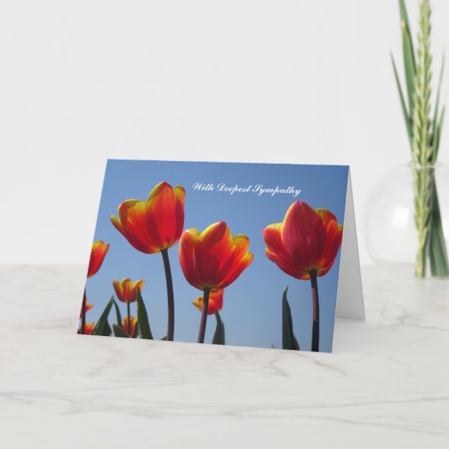 Carte de Sympathie des Tulipes Jaunes Orange (Devant)