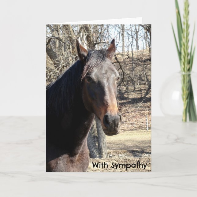 Carte de sympathie du cheval (Devant)