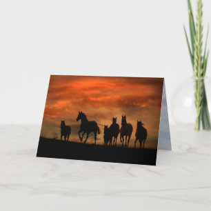 Carte de sympathie du cheval