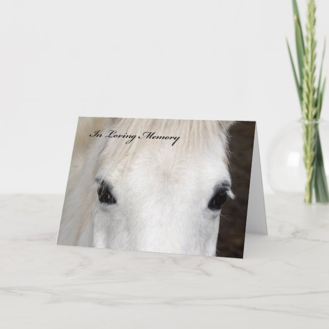Carte de sympathie du cheval (Devant)