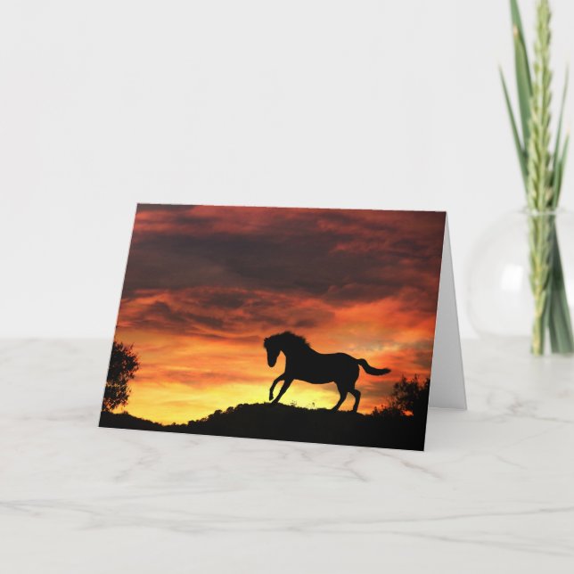 Carte de sympathie du cheval (Devant)