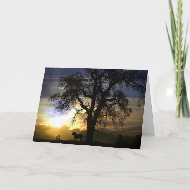 Carte de sympathie du cheval (Devant)