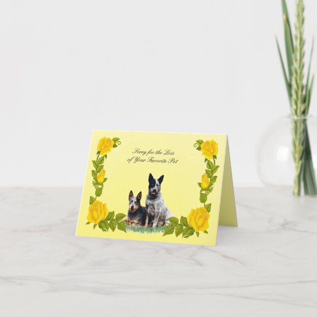 Carte de sympathie du chien de bétail australien e (Devant)
