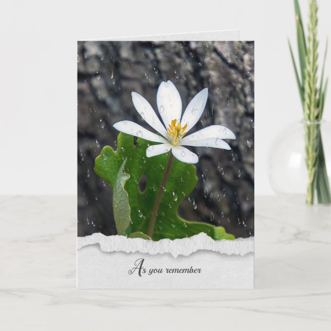 Carte de sympathie du Fleur sauvage blanc Raindrop (Devant)