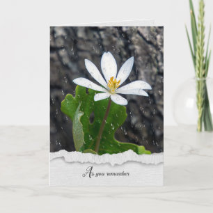 Carte de sympathie du Fleur sauvage blanc Raindrop