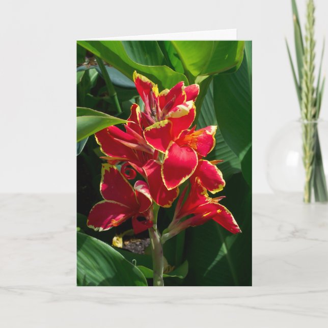 Carte de sympathie florale (Devant)