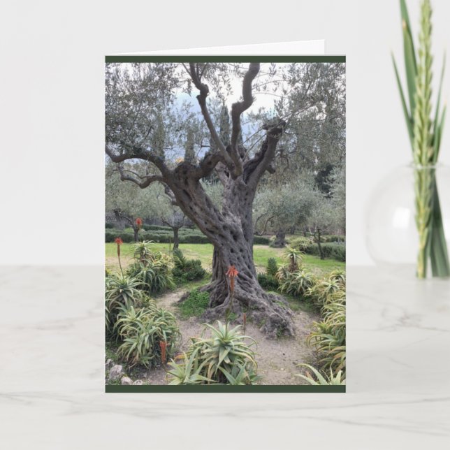 Carte de Sympathie Gethsemane (Devant)