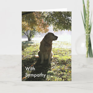 Carte de sympathie Golden Retriever