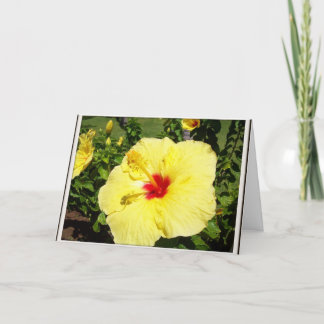 Carte de sympathie jaune de fleur