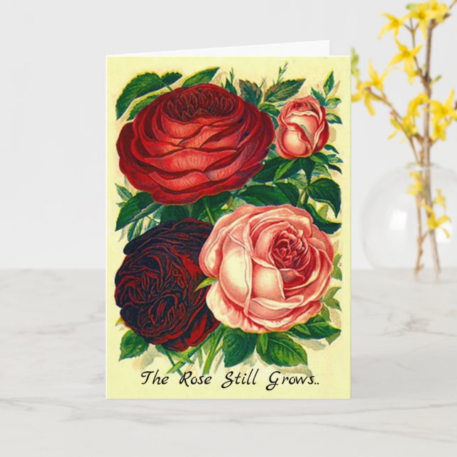 Carte de sympathie Le Rose continue à grandir au-d (Fleur jaune)