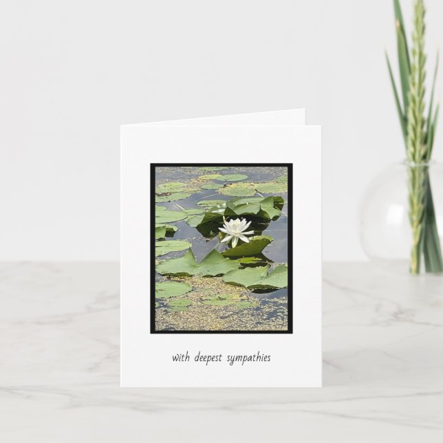 Carte de Sympathie Lily Pond Blanc (Devant)
