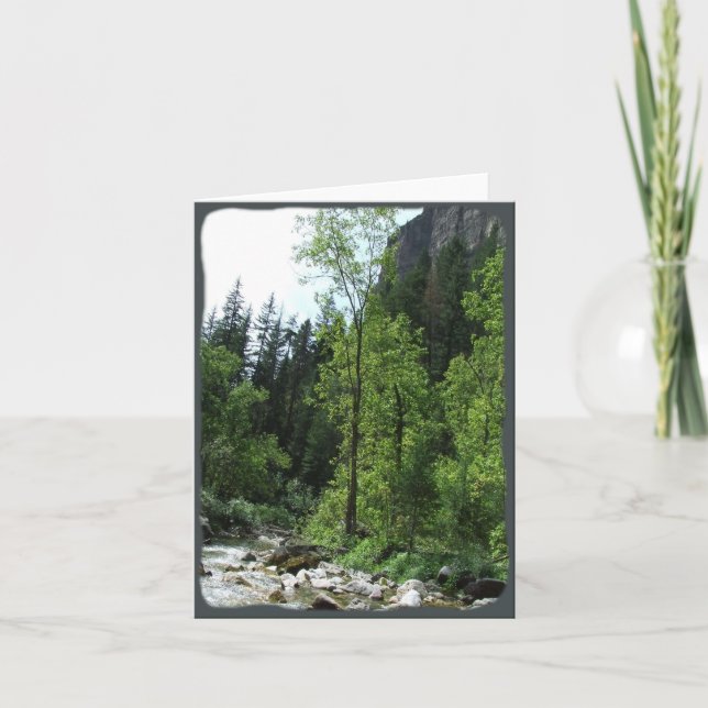 Carte de sympathie paisible de forêt (Devant)